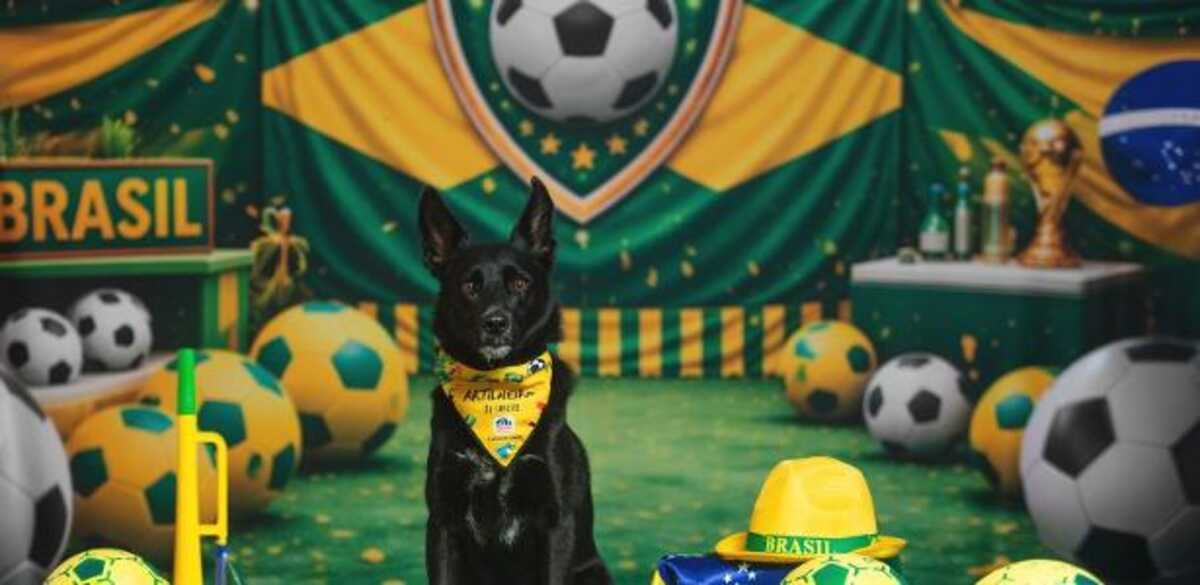 Seleção de quatro patas: cães ganham posições em campo e álbum de figurinhas da Copa