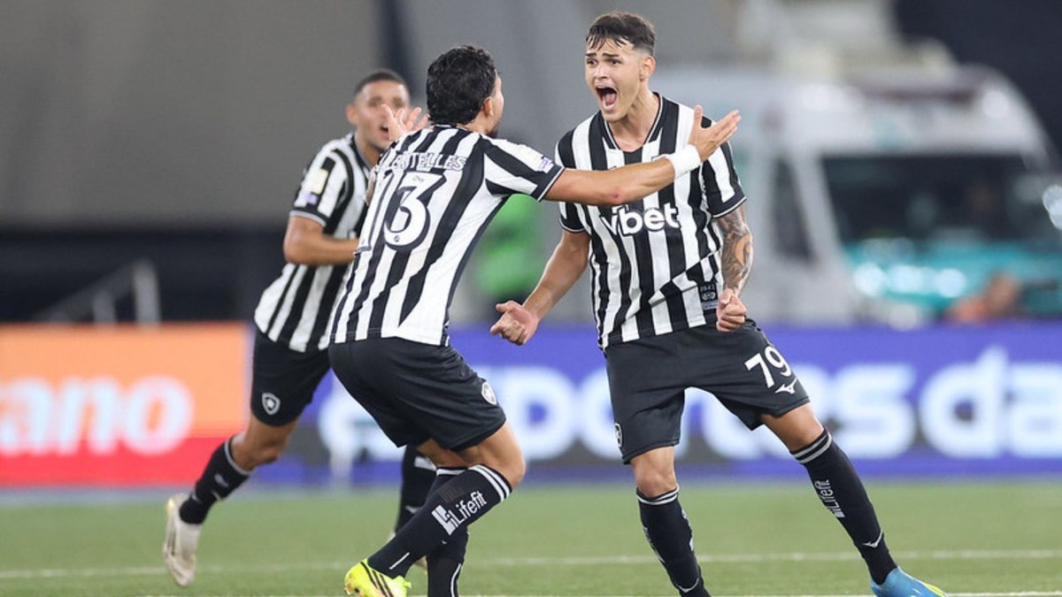 Botafogo aproveita entregadas e vence Santos no apagar das luzes
